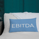 Carlyle EBITDA Premium Pillow